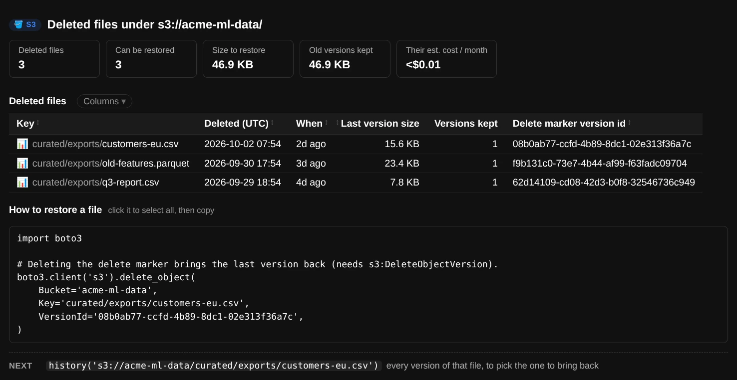 deleted(): counts of deleted and restorable files, a table with each file's deletion time, size and delete-marker version id, and example restore code
