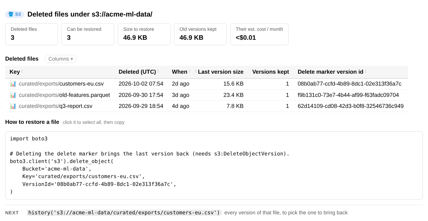 deleted(): counts of deleted and restorable files, a table with each file's deletion time, size and delete-marker version id, and example restore code