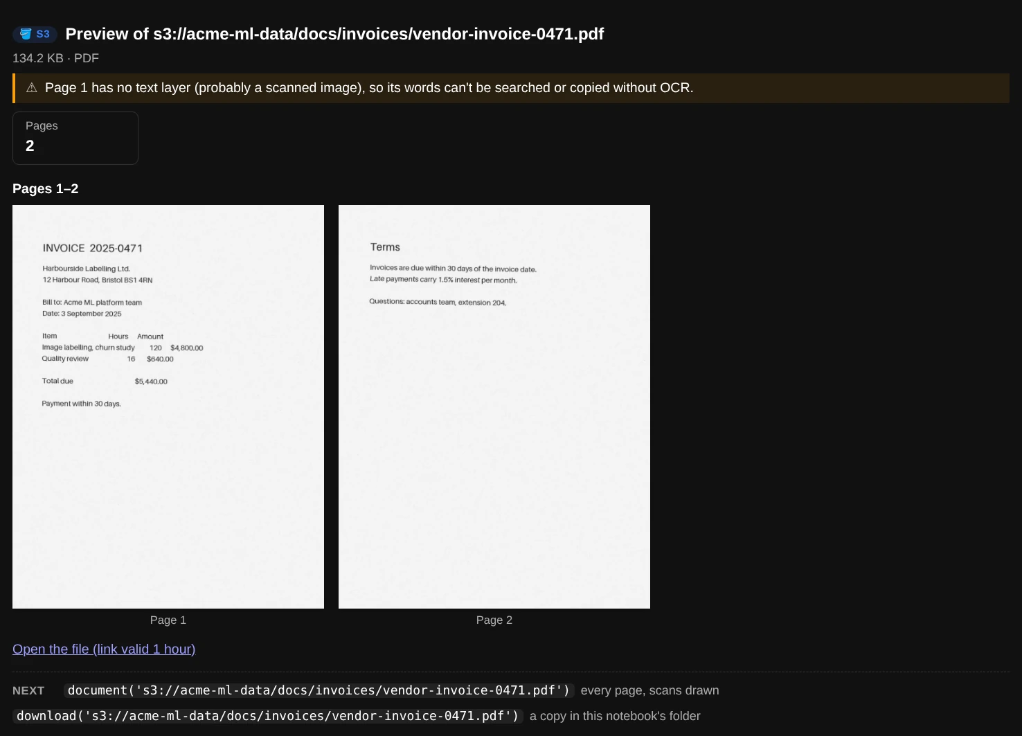 preview() of a scanned invoice: a warning that page 1 has no text layer, the page count, and both pages drawn as pictures side by side