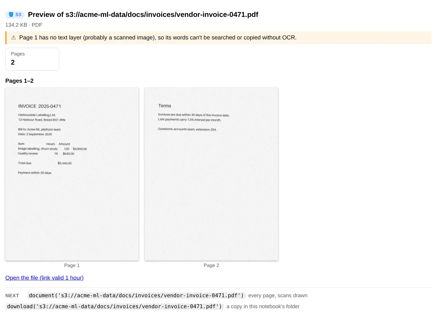 preview() of a scanned invoice: a warning that page 1 has no text layer, the page count, and both pages drawn as pictures side by side
